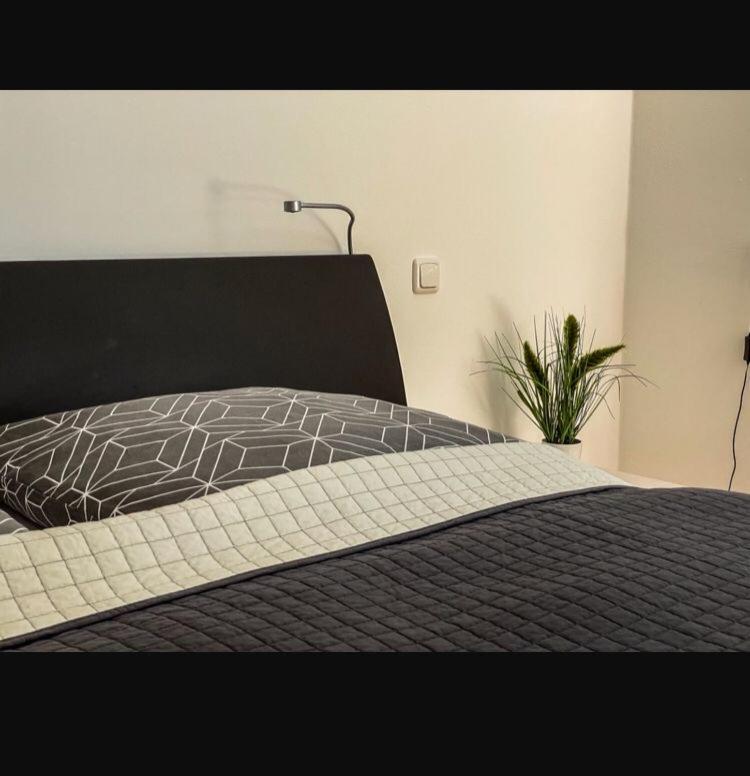 Zimmer - Modernes Apartment Mit 45 Qm. シュトラウビング エクステリア 写真