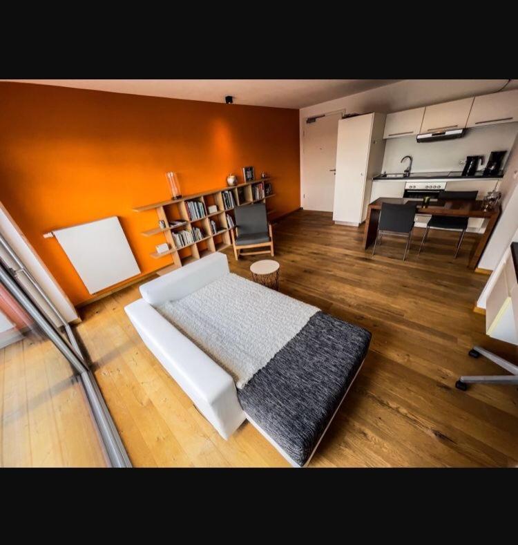 Zimmer - Modernes Apartment Mit 45 Qm. シュトラウビング エクステリア 写真